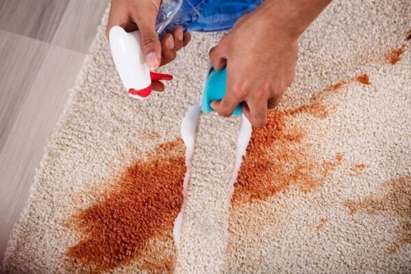 carpet clean stain remove